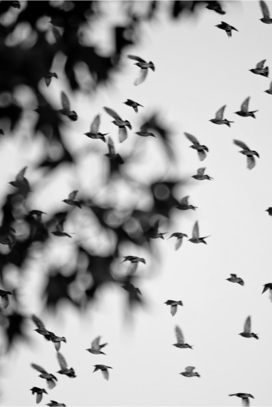 Profilbild von Hans-Peter M&uuml;ller